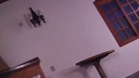 teenage trannies 5 - Scene 2