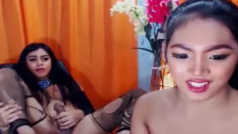 Two sexy oriental shemale Jerks And slam